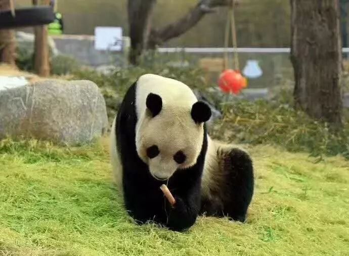 拓展培训的内容都有哪些？