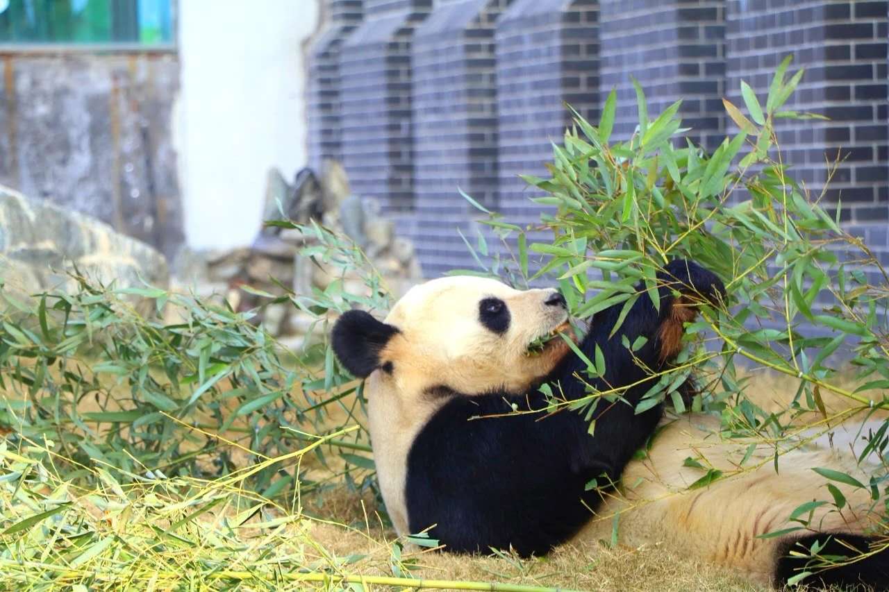 济南拓展训练对员工来说有什么样的价值？